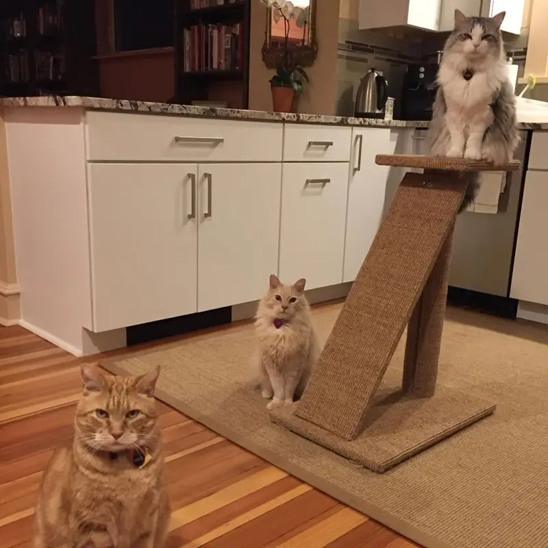 Premium Natural Sisal Cat Scratcher Mat: Durable Protection for Your Furniture-1