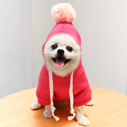 Cute Fruit Dog Clothes for Small Dogs hoodies Warm Fleece Pet Clothing Puppy Cat Costume Coat for French Chihuahua Jacket Suit-1